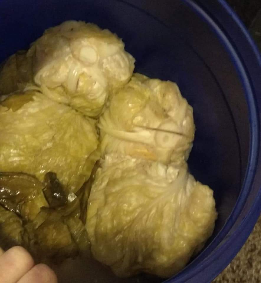 Varza murata – Kvašená zelná hlávka